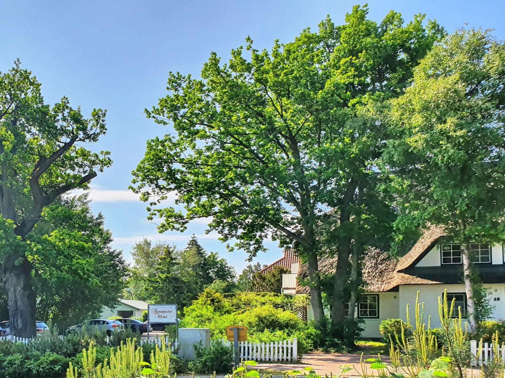Romantischer Winkel Fewo 60B 4 Prerow Bagian luar foto